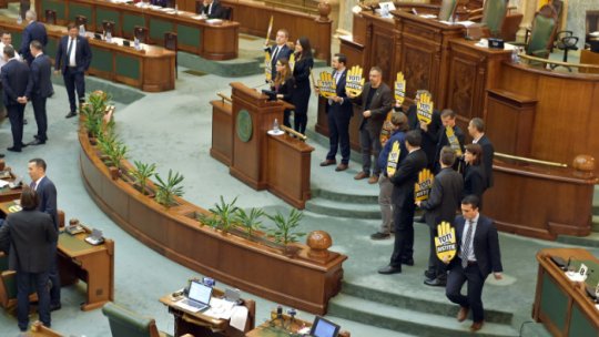 Senat: Dezbaterea legii privind statutul magistraţilor