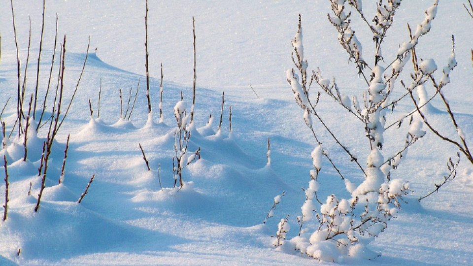 Temperaturi siberiene în judeţul Harghita