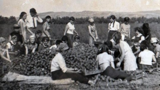 Practica agricolă, de la voluntariat la obligaţie