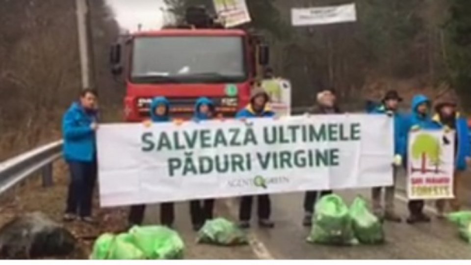 Ecologiștii blochează camioanele cu lemne din Munții Făgăraș