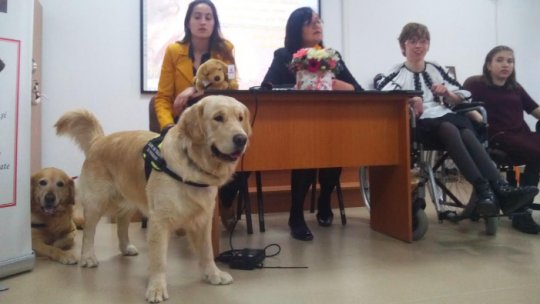 Terapia Asistată de Animale