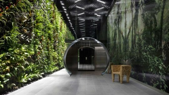 Bucureşti, Iaşi şi Braşov, oraşe poluate