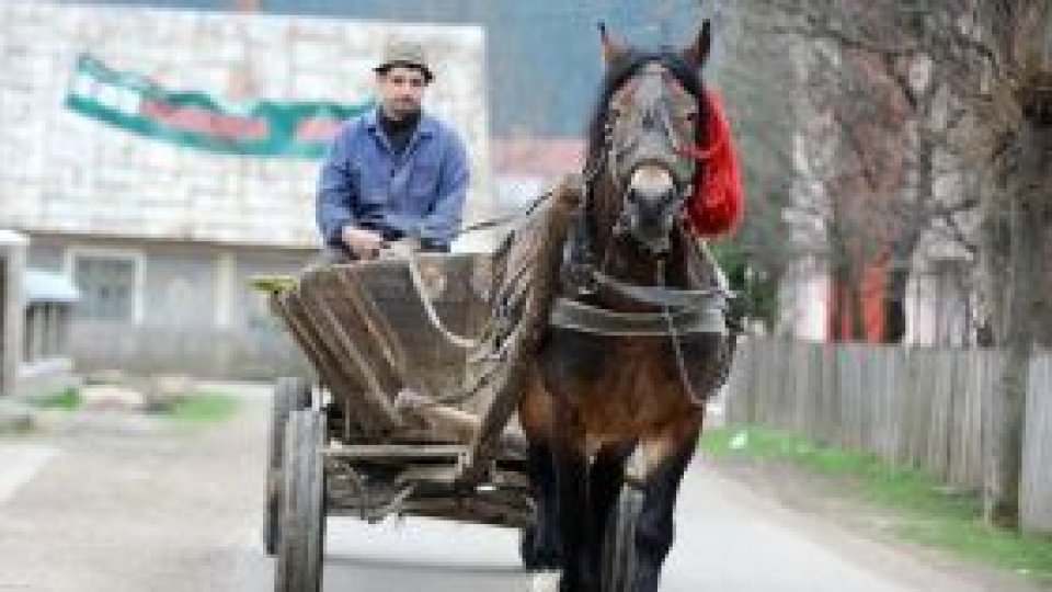 Căruță vs. mașină personală: faetonul - din nou la modă