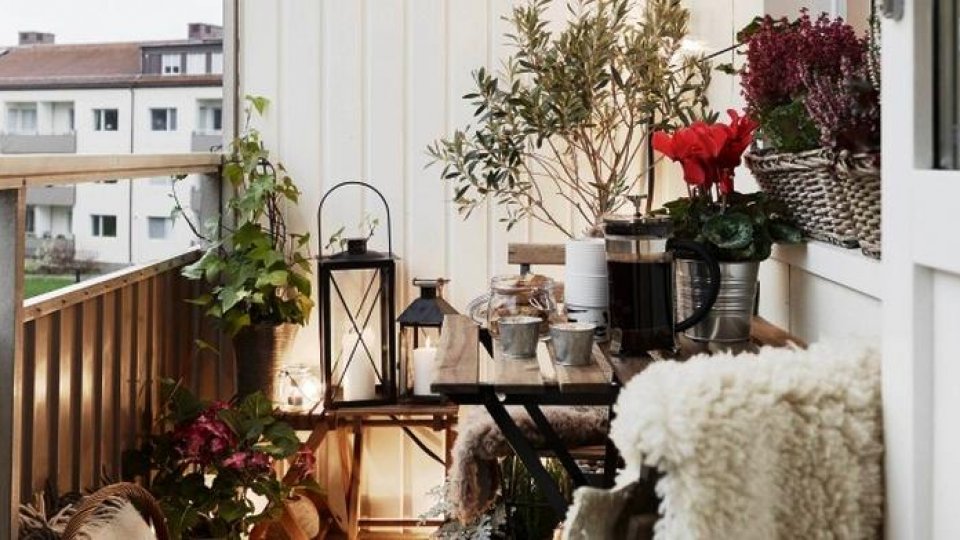 Design de dimineață