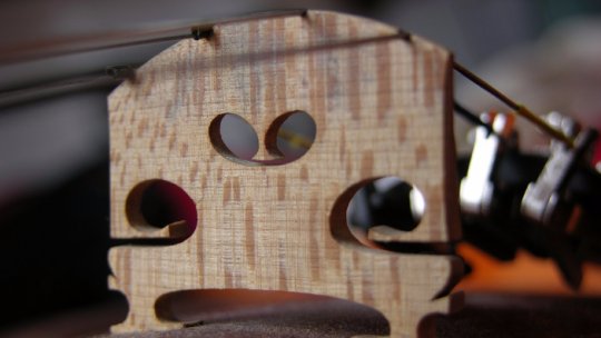 Superioritatea viorilor Stradivarius este pusă la îndoială