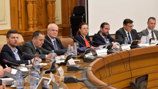 Discuţii ale comisiei parlamentare privind alegerile prezidenţiale din 2009