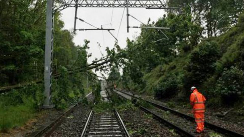 Trenuri blocate în nordul ţării din cauza copacilor rupţi de vijelie