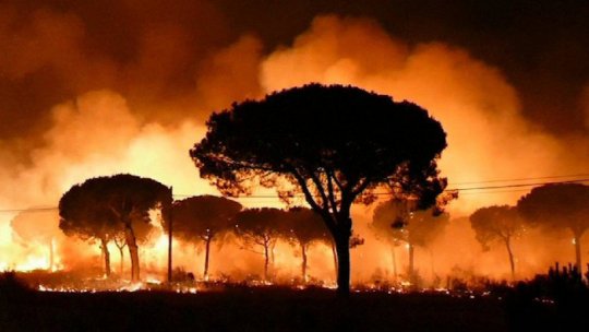 Incendiu devastator în Spania: Autoritățile cred că focul a fost provocat