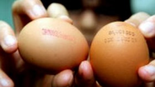 O tonă de gălbenuş contaminat cu Fipronil, descoperită de inspectorii DSV