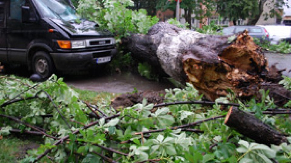 Arbori doborâţi de vânt în Judeţul Argeş şi un bloc rămas fără acoperiş