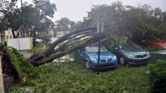 Israelul, în sprijinul sinistraţilor din statul american Florida