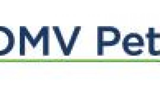 Conducerea grupului OMV Petrom la preşedintele Klaus Iohannis