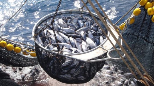 Valorile democrației europene: UE și Sahara Occidentală