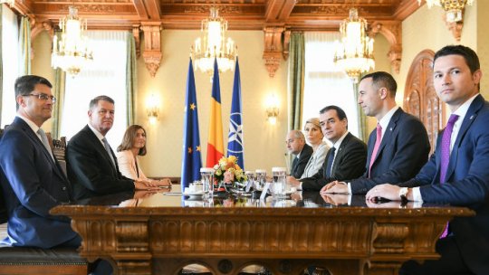 PNL se pronunţă pentru alegeri anticipate