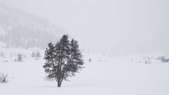 Zboruri anulate de pe aeroportul din Chişinău din cauza condiţiilor meteo