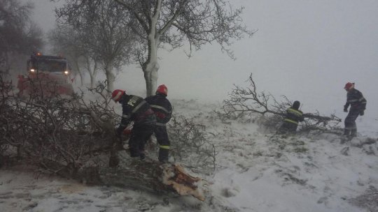 FOTO: Iadul alb la Tulcea!