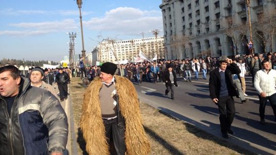 Protest al oierilor în fața Ministerului Agriculturii
