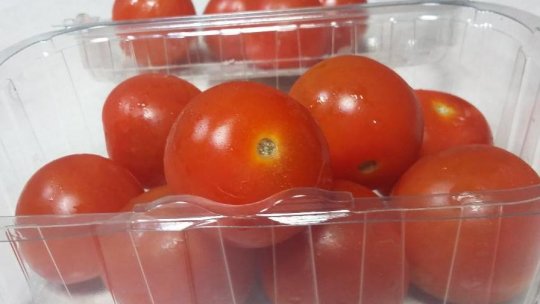 Fermierii din Galați se confuntă cu molia tomatelor