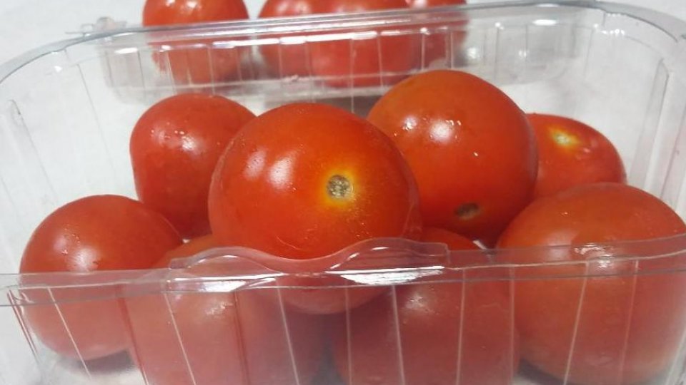 Fermierii din Galați se confuntă cu molia tomatelor