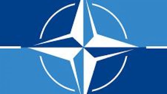 NATO va întări cooperarea cu UE în ceea ce priveşte apărarea cibernetică