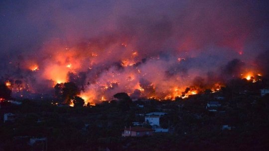 Incendiul de vegetaţie de la Zanea a fost lichidat