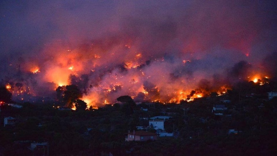 Incendiul de vegetaţie de la Zanea a fost lichidat