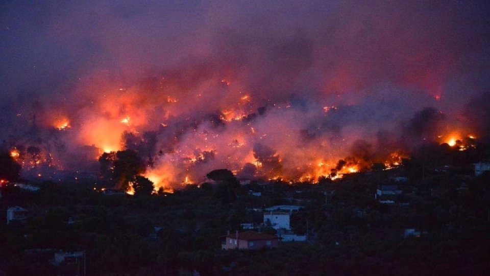 Preşedintele SUA a mers în California să vadă pagubele făcute de incendii