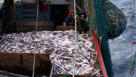 Valorile democrației occidentale II: UE și Regatul Marocului