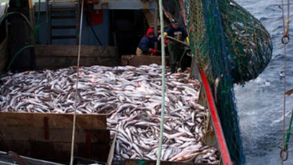 Valorile democrației occidentale II: UE și Regatul Marocului