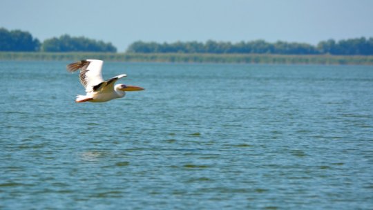 Week-end în Delta Dunării
