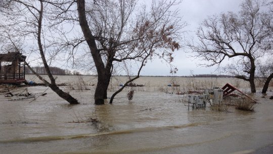 Dunărea, din nou sub avertizări cod portocaliu de inundaţie