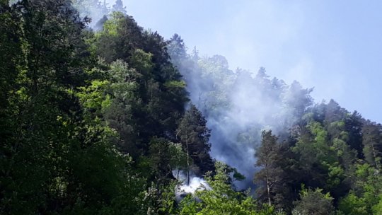Un nou incendiu de vegetaţie declanșat aproape de Cetatea Poenari