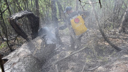 Focul din Rezervaţia Domogled se pare că a fost stins