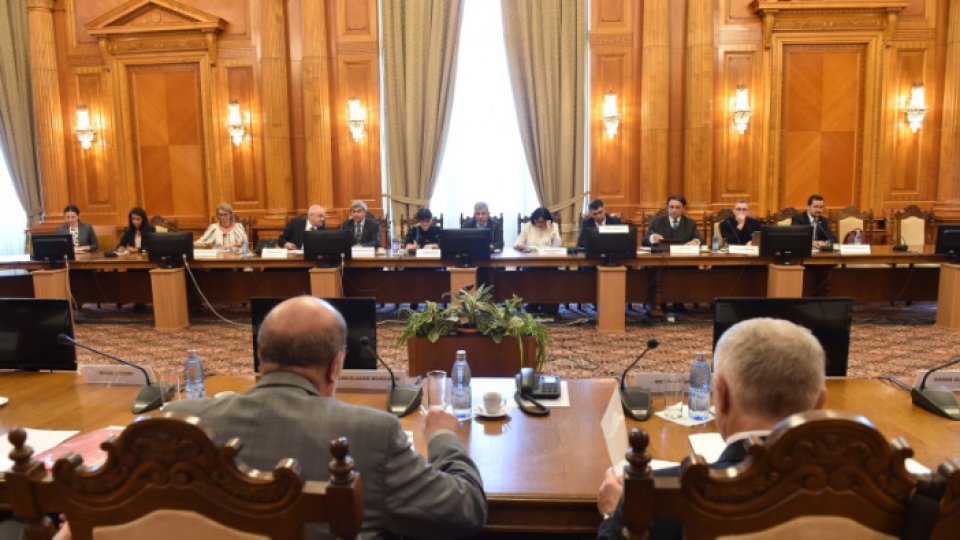 Delegaţia Comisiei de la Veneţia, în România