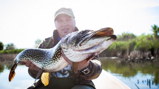 S-a redeschis sezonul de pescuit în Delta Dunării