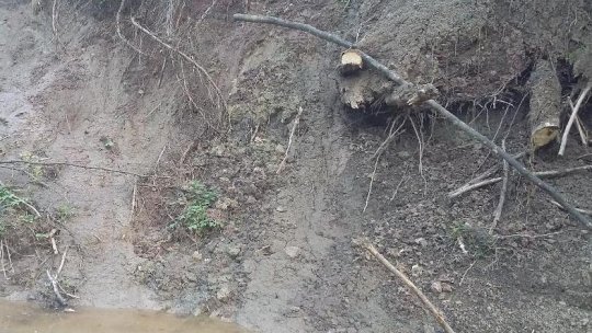 Viitura și aluviunile au provocat panică şi pagube în Poiana Câmpina