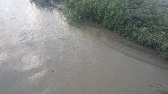 Coduri de inundații ptr Târnava Mare și Cibin, în Județele Sibiu și Alba