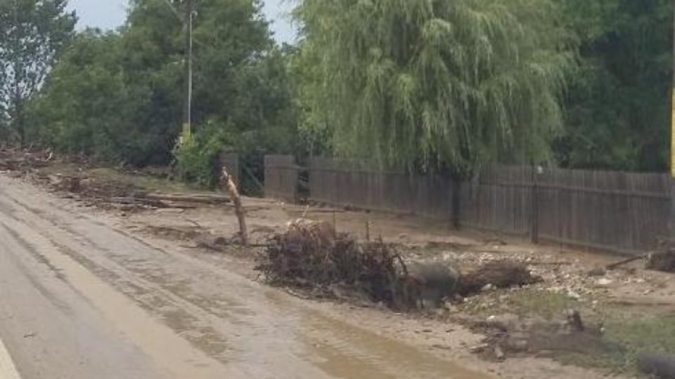 Trafic blocat pe DN 15, din cauza unor copaci căzuţi pe carosabil