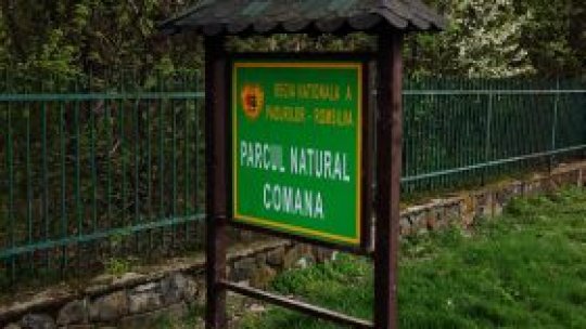 Peste 500 de arii protejate vor rămâne fără custozi