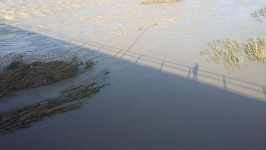 Cod Portocaliu de inundaţii pentru 6 râuri din 8 judeţe până dimineaţă