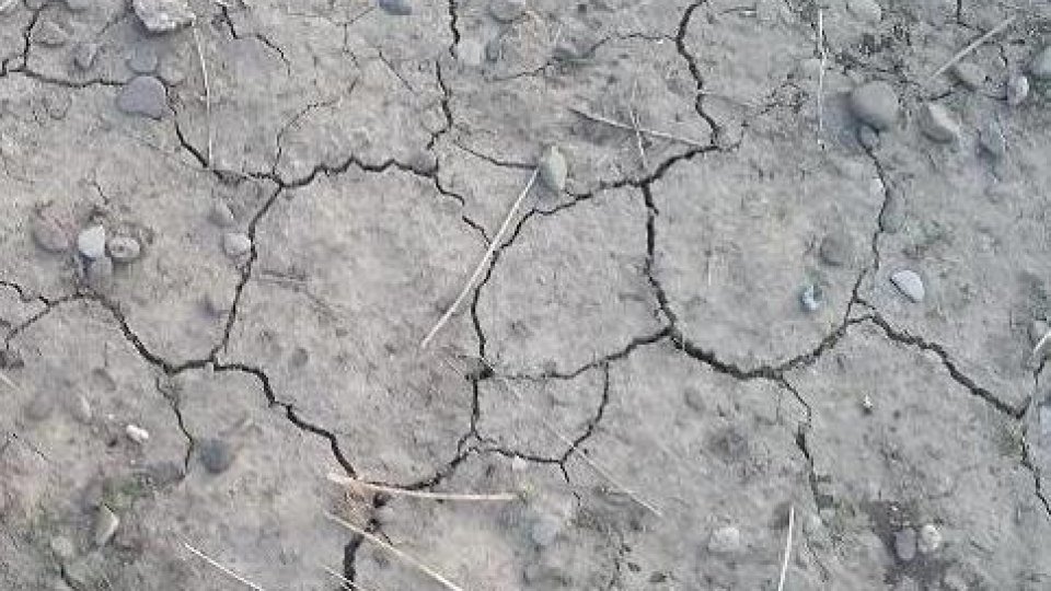 Mai multe ţări din Europa au fost afectate de secetă