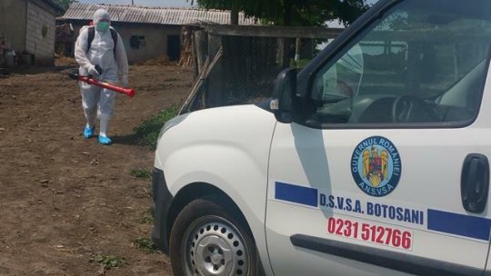 Un caz de antrax, confirmat la un porc crescut într-o gospodărie