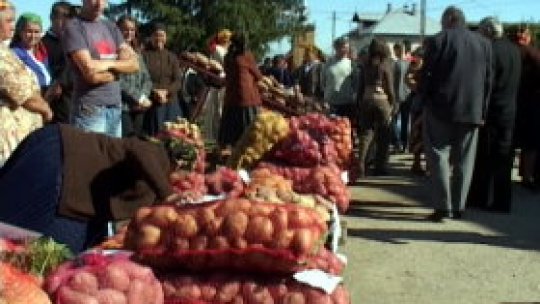 Pagube provocate de ploi agricultorilor din mai multe zone ale ţării