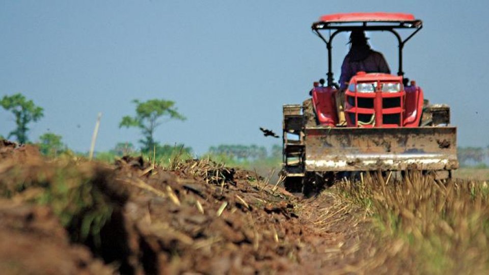 Aradul-judeţul cu cele mai multe vânzări de teren agricol în luna iulie