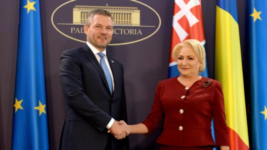 Romanian and Slovak Prime Ministers discuss future Romanian EU Presidency