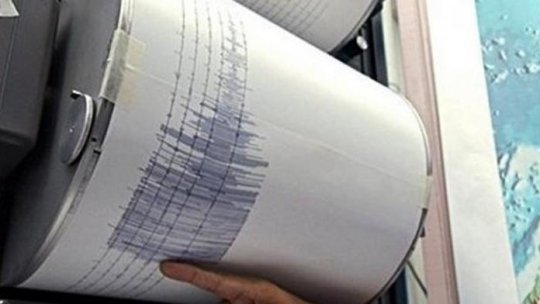 Un cutremur cu magnitudinea 3,4 pe scara Richter s-a produs vineri