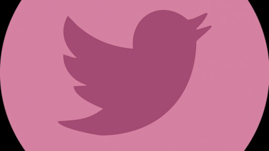 Twitter interzice reclamele politice