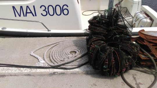 Operaţiuni de salvare în Portul Midia