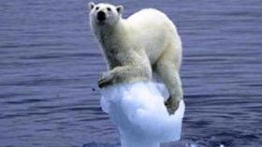 Ultimul deceniu a fost cel mai cald din istoria recentă