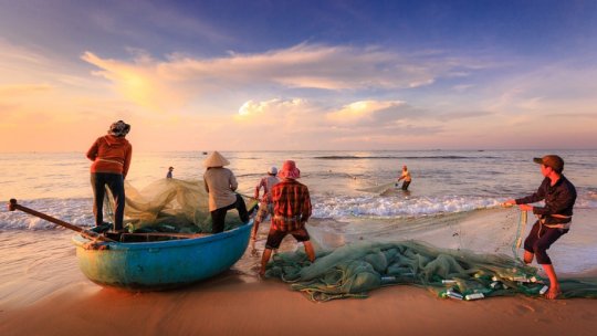 Muncitori de import din Asia de Sud-Est (Vietnam şi Sri Lanka)